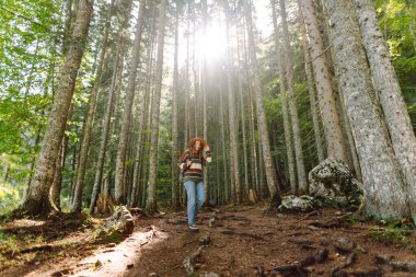 Sırt çantalı bir kadın sık ormanda yer yolunda yürüyor. Temiz hava ve vahşi doğa. Yürüyüş.