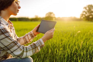 Akıllı çiftlik. Kadın çiftçi yeşil alanda dijital tablette çalışıyor. Büyüme dinamikleri.