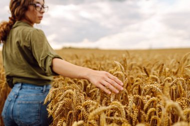 İyi bir çiftçi kadın tarlada yürüyor ve elini buğday hasadının altın kulaklarında gezdiriyor. Buğday kulakları tutuyor, tahıl kalitesini kontrol ediyor. İnanılmaz gün batımı ışığı 