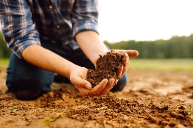 Uzman çiftçi tohum veya bitki yetiştirmeden önce toprak sağlığını kontrol ediyor. Doğa sağlıklı yiyecekler.