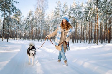 Kış parkında evcil hayvanla oynayan bir kadın. İri köpek. Evcil köpek kavramı. Arkadaşlık..