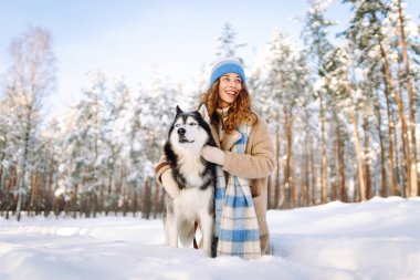 Kış parkında evcil hayvanla oynayan bir kadın. İri köpek. Evcil köpek kavramı. Arkadaşlık..