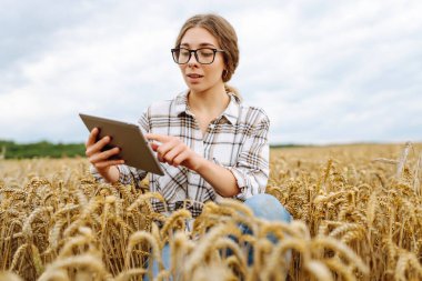 Akıllı çiftlik. Tarlada tableti olan genç bir kadın çiftçi. Tarım, bahçıvanlık, iş ya da ekoloji konsepti. Büyüme dinamikleri.