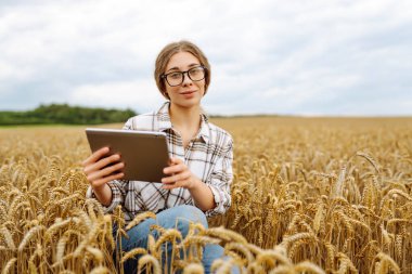 Modern tarım teknolojisi, tarlada dijital tabletle çalışan kadın çiftçi..