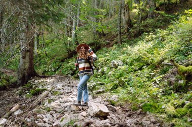 Sırt çantalı bir kadın ormanda doğa yürüyüşü yapıyor. Çam Ormanı 'nda gezinti. Doğa yürüyüşü, dinlenme ve spor.