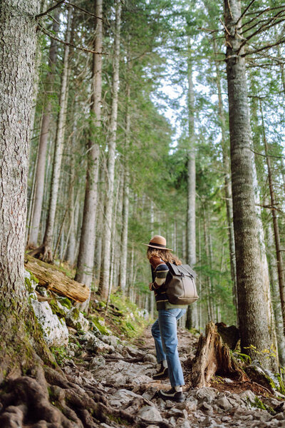 Woman with backpack hiking outdoors in the Forest. Trekking in the Pine Woods. Hiking, recreation and sports in nature.