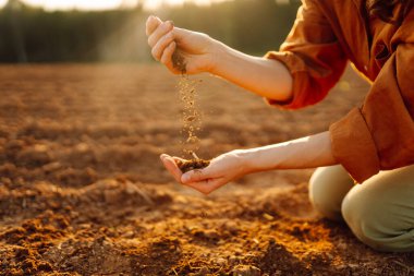 Toprak, toprak ve kara toprak gübresi tutan genç kadın çiftçilerin elleri. Bahçıvanlık ve ekoloji kavramı.