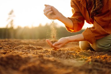 Toprak, toprak ve kara toprak gübresi tutan genç kadın çiftçilerin elleri. Bahçıvanlık ve ekoloji kavramı.