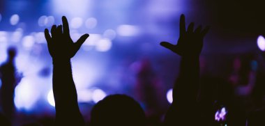 Konserde kalabalık. Sahne ışıkları ve eller havaya. İnsanlar eğleniyor. Taraftarlar müzik festivalinin tadını çıkarıyor.