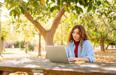 Şehir parkında oturan, laptopta çalışan ya da ders çalışan çekici bir kadın. Parkta çalışan serbest çalışan biri. Çevrim içi rota