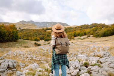 Kadın turistin sırt çantasıyla dağlarda durup manzarayı seyrettiği arka plan görüntüsü. Avrupa seyahati. Yaşam tarzı, tatil, turizm, doğa, aktif yaşam