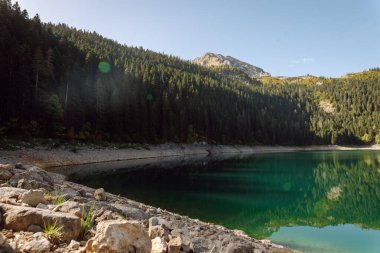 Dağ manzarası, resimli dağ gölü yaz sabahı.