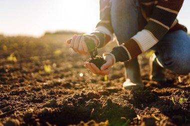 Yaz günü tarımsal bir alanda toprağa dokunarak toprağı analiz eden kadın ellerinin yakınlaşması. Tarım, bahçıvanlık, iş veya ekoloji kavramı.