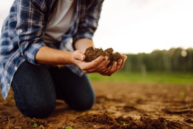 Bir tarlada verimli toprakları tutan bir çiftçinin ellerine yakın çekim. Bir tarım uzmanı ekmeden önce toprağın kalitesini kontrol eder. Tarım kavramı, kontrol ve analiz.