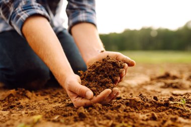 Bir tarlada verimli toprakları tutan bir çiftçinin ellerine yakın çekim. Bir tarım uzmanı ekmeden önce toprağın kalitesini kontrol eder. Tarım kavramı, kontrol ve analiz.