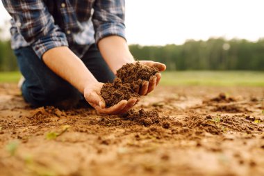 Bir tarlada verimli toprakları tutan bir çiftçinin ellerine yakın çekim. Bir tarım uzmanı ekmeden önce toprağın kalitesini kontrol eder. Tarım kavramı, kontrol ve analiz.