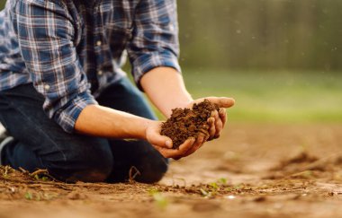 Bir tarlada verimli toprakları tutan bir çiftçinin ellerine yakın çekim. Bir tarım uzmanı ekmeden önce toprağın kalitesini kontrol eder. Tarım kavramı, kontrol ve analiz.
