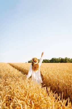 Hasır şapkalı, altın buğday tarlasında yürüyen genç bir kadının dikiz görüntüsü. Güzel bir kadın gün batımından zevk alır ve özgür hisseder. Rahatlama, özgürlük, yürüyüş kavramı..