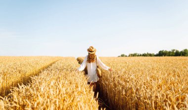 Hasır şapkalı, altın buğday tarlasında yürüyen genç bir kadının dikiz görüntüsü. Güzel bir kadın gün batımından zevk alır ve özgür hisseder. Rahatlama, özgürlük, yürüyüş kavramı..