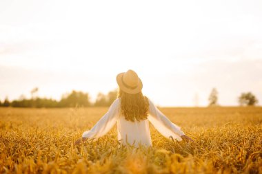 Hasır şapkalı, altın buğday tarlasında yürüyen genç bir kadının dikiz görüntüsü. Güzel bir kadın gün batımından zevk alır ve özgür hisseder. Rahatlama, özgürlük, yürüyüş kavramı..