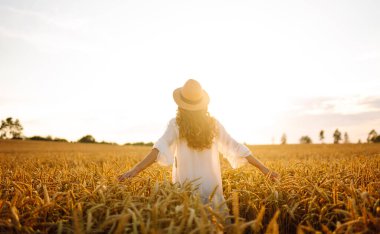 Hasır şapkalı, altın buğday tarlasında yürüyen genç bir kadının dikiz görüntüsü. Güzel bir kadın gün batımından zevk alır ve özgür hisseder. Rahatlama, özgürlük, yürüyüş kavramı..