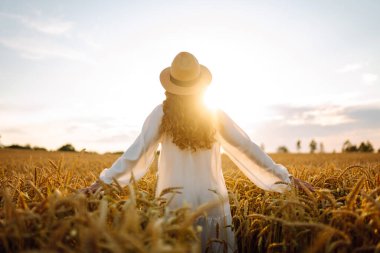 Hasır şapkalı, altın buğday tarlasında yürüyen genç bir kadının dikiz görüntüsü. Güzel bir kadın gün batımından zevk alır ve özgür hisseder. Rahatlama, özgürlük, yürüyüş kavramı..