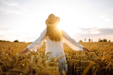 Hasır şapkalı, altın buğday tarlasında yürüyen genç bir kadının dikiz görüntüsü. Güzel bir kadın gün batımından zevk alır ve özgür hisseder. Rahatlama, özgürlük, yürüyüş kavramı..
