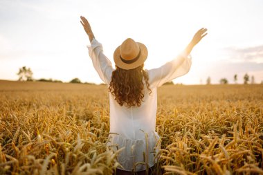 Hasır şapkalı, altın buğday tarlasında yürüyen genç bir kadının dikiz görüntüsü. Güzel bir kadın gün batımından zevk alır ve özgür hisseder. Rahatlama, özgürlük, yürüyüş kavramı..