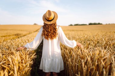 Hasır şapkalı, altın buğday tarlasında yürüyen genç bir kadının dikiz görüntüsü. Güzel bir kadın gün batımından zevk alır ve özgür hisseder. Rahatlama, özgürlük, yürüyüş kavramı..