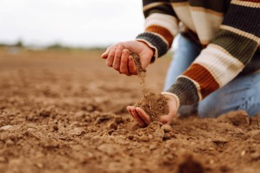 Tarımsal bir tarlada elinde toprak tutan dişi bir çiftçinin yakın çekimi. Kadın elleri dışarıdaki siyah toprağın kalitesini kontrol ediyor. Kontrol kavramı, kalite. Tarım.