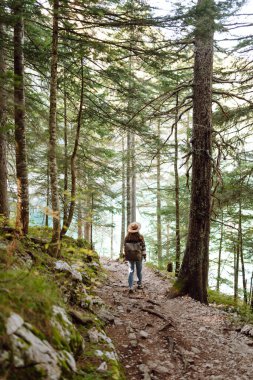 Sırt çantalı genç bir turist dağ ormanlarında yürüyüş yolu boyunca yürüyor. Mutlu kadın açık havayı seviyor. Yürüyüş, seyahat konsepti. Etkin yaşam biçimi.