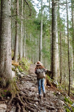 Sırt çantalı genç bir turist dağ ormanlarında yürüyüş yolu boyunca yürüyor. Mutlu kadın açık havayı seviyor. Yürüyüş, seyahat konsepti. Etkin yaşam biçimi.