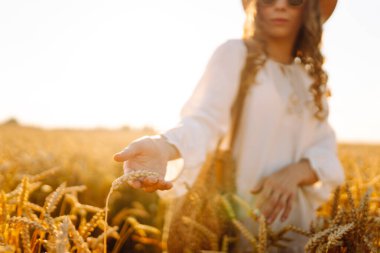 Gün batımı tarlasında altın buğdaya dokunan genç bir kadının elleri. Tarlada gezen şık elbiseli güzel bir kadın. Yürüme ve eğlenme kavramı.