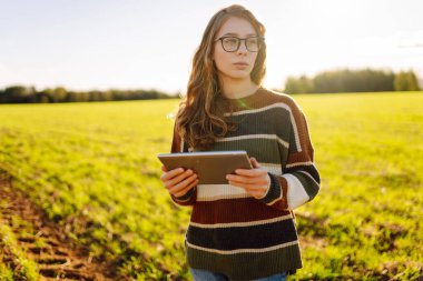 Modern tabletli genç kadın çiftçi yeşil tarım alanında. Tarlada çalışan dişi tarımcı yeşil buğday kalitesini kontrol ediyor. Teknoloji ve tarım kavramı.