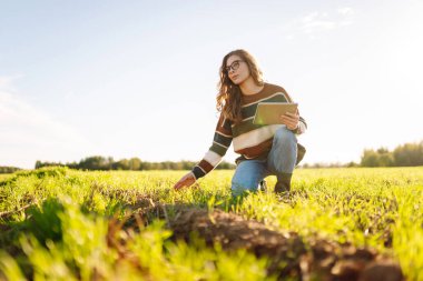 Modern tabletli genç kadın çiftçi yeşil tarım alanında. Tarlada çalışan dişi tarımcı yeşil buğday kalitesini kontrol ediyor. Teknoloji ve tarım kavramı.