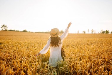 Sarı buğday tarlasında koşan mutlu kadın tatillerde kırsal alanda özgürlüğün tadını çıkarıyor. Dinlen, köyde dinlen, gün batımında köy