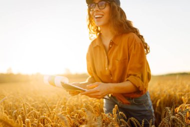 Gün batımında altın tarla arazisinde elinde bir panoyla çiftçi şapkalı genç bir kadın. Dişi bir tarım uzmanı buğday tarlasında mahsulün kalitesini kontrol eder. Kalite kavramı, zengin hasat.