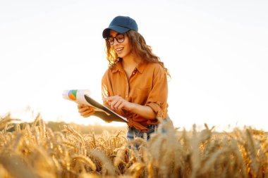 Gün batımında altın tarla arazisinde elinde bir panoyla çiftçi şapkalı genç bir kadın. Dişi bir tarım uzmanı buğday tarlasında mahsulün kalitesini kontrol eder. Kalite kavramı, zengin hasat.