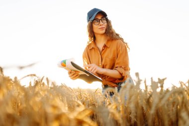 Gün batımında altın tarla arazisinde elinde bir panoyla çiftçi şapkalı genç bir kadın. Dişi bir tarım uzmanı buğday tarlasında mahsulün kalitesini kontrol eder. Kalite kavramı, zengin hasat.