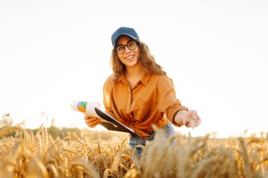 Gün batımında altın tarla arazisinde elinde bir panoyla çiftçi şapkalı genç bir kadın. Dişi bir tarım uzmanı buğday tarlasında mahsulün kalitesini kontrol eder. Kalite kavramı, zengin hasat.