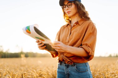 Gün batımında altın tarla arazisinde elinde bir panoyla çiftçi şapkalı genç bir kadın. Dişi bir tarım uzmanı buğday tarlasında mahsulün kalitesini kontrol eder. Kalite kavramı, zengin hasat.