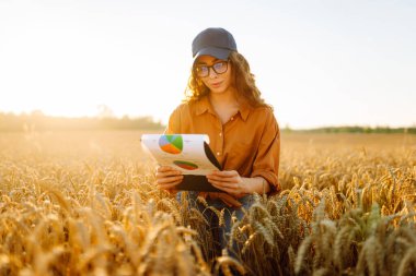 Gün batımında altın tarla arazisinde elinde bir panoyla çiftçi şapkalı genç bir kadın. Dişi bir tarım uzmanı buğday tarlasında mahsulün kalitesini kontrol eder. Kalite kavramı, zengin hasat.