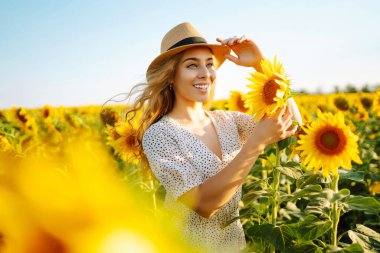 Elbise giymiş güzel bir kadın ayçiçeği tarlasında sıcak bir günbatımının tadını çıkarıyor. Genç bir kadın açık havada yürür ve özgürlüğü hisseder. Yürüme konsepti. Etkin yaşam biçimi.