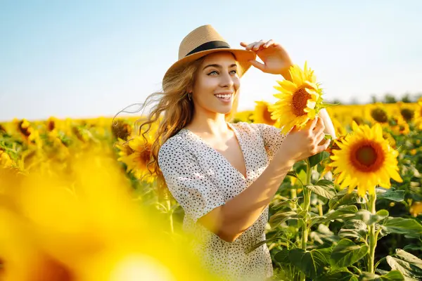Elbise giymiş güzel bir kadın ayçiçeği tarlasında sıcak bir günbatımının tadını çıkarıyor. Genç bir kadın açık havada yürür ve özgürlüğü hisseder. Yürüme konsepti. Etkin yaşam biçimi.