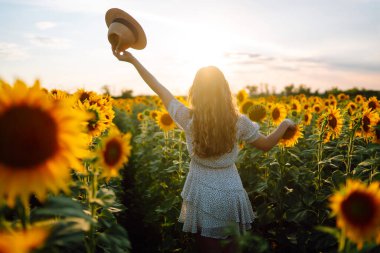 Elbise giymiş güzel bir kadın ayçiçeği tarlasında sıcak bir günbatımının tadını çıkarıyor. Genç bir kadın açık havada yürür ve özgürlüğü hisseder. Yürüme konsepti. Etkin yaşam biçimi.