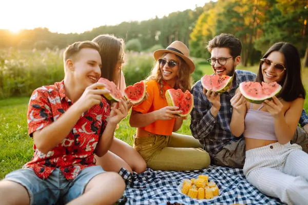 Mutlu arkadaşlar piknikte karpuz yiyorlar. Genç kadınlar ve erkekler gün batımında birlikte dışarıda vakit geçiriyorlar. Arkadaşlık kavramı, eğlence..