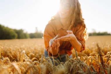 Genç dişi çiftçi gün batımında olgunlaşmış buğday saplarını inceliyor. Kadın tarımcı tarım alanındaki altın hasatının kalitesini kontrol ediyor. Çiftçilik kavramı, zengin hasat.