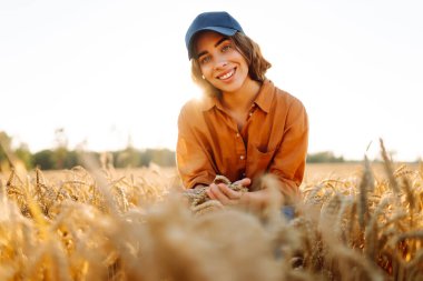 Genç dişi çiftçi gün batımında olgunlaşmış buğday saplarını inceliyor. Kadın tarımcı tarım alanındaki altın hasatının kalitesini kontrol ediyor. Çiftçilik kavramı, zengin hasat.