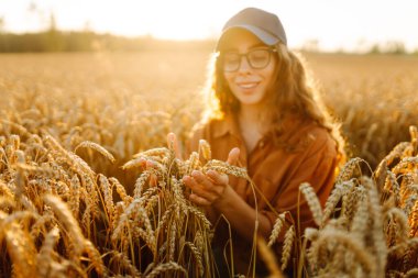 Genç dişi çiftçi gün batımında olgunlaşmış buğday saplarını inceliyor. Kadın tarımcı tarım alanındaki altın hasatının kalitesini kontrol ediyor. Çiftçilik kavramı, zengin hasat.
