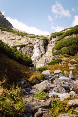 Doğal büyüleyici bir manzara var. Dağlardaki kayalıkların üzerinden yüksek bir şelale akıyor. Resimli manzara ve yemyeşil bitki örtüsü. Doğa konsepti, güzellik.